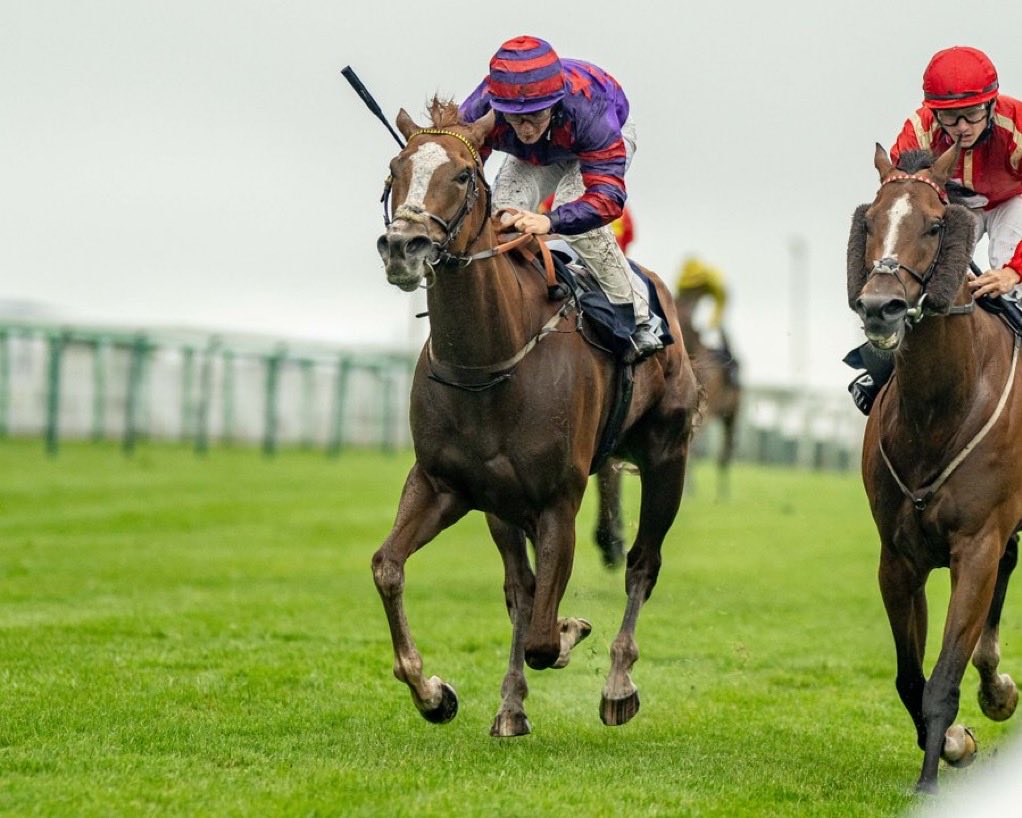 George Baker (@gbakerracing) on Twitter photo By the barest of margins. Bletchley Storm noses home from <a href="/BrightonRace/">Brighton Racecourse</a> legend Uncle Dick under a fine ride <a href="/Aidankeeley25/">Aidan Keeley</a> Congratulations the winning ‘Summer Of Fun’ Syndicate, and well done top team at home !! #winnersflowing By the barest of margins. Bletchley Storm noses home from <a href="/BrightonRace/">Brighton Racecourse</a> legend Uncle Dick under a fine ride <a href="/Aidankeeley25/">Aidan Keeley</a> Congratulations the winning ‘Summer Of Fun’ Syndicate, and well done top team at home !! #winnersflowing