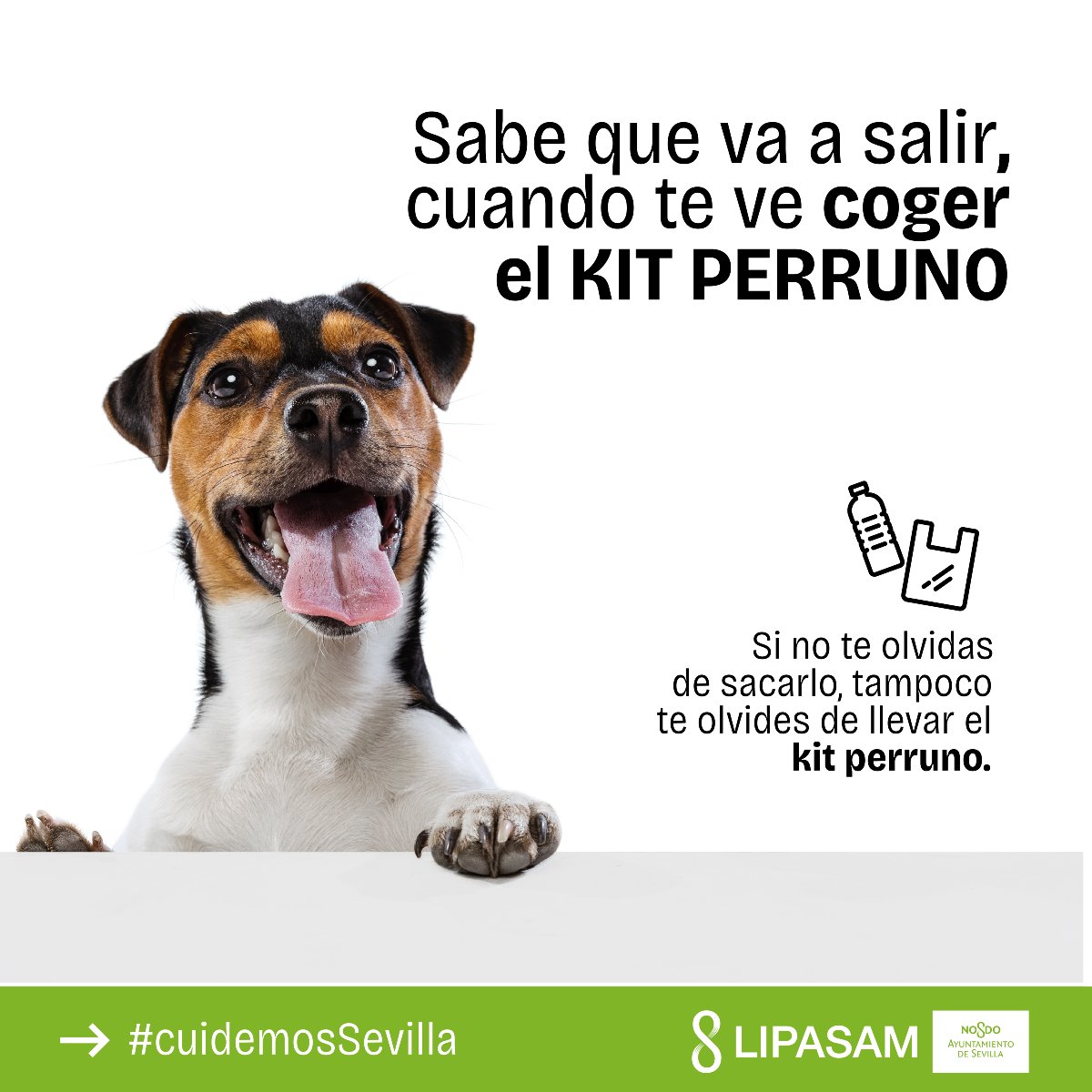LipasamSevilla's tweet photo. El #miércoles va de #amigosfieles, esos que no te fallan y a los que tampoco puedes fallar
Cuando salgas con tu perro disfruta de su compañía y que el ¡#KitPerruno os acompañe!
#cuidemosSevilla https://t.co/8vscxrSCoC