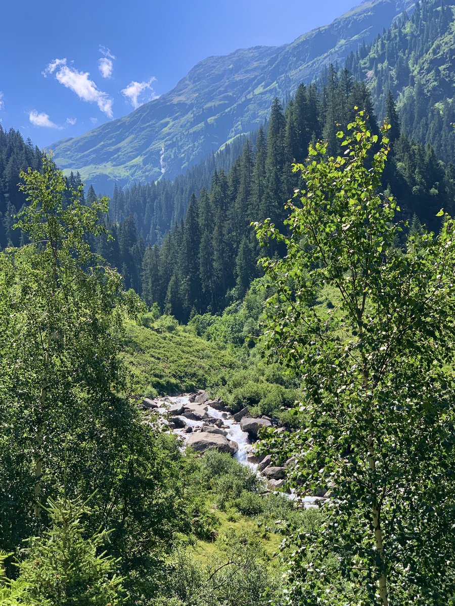 PortmannCarrick's tweet photo. the white river below
#hiking #valley https://t.co/J6Lsj5PfxB