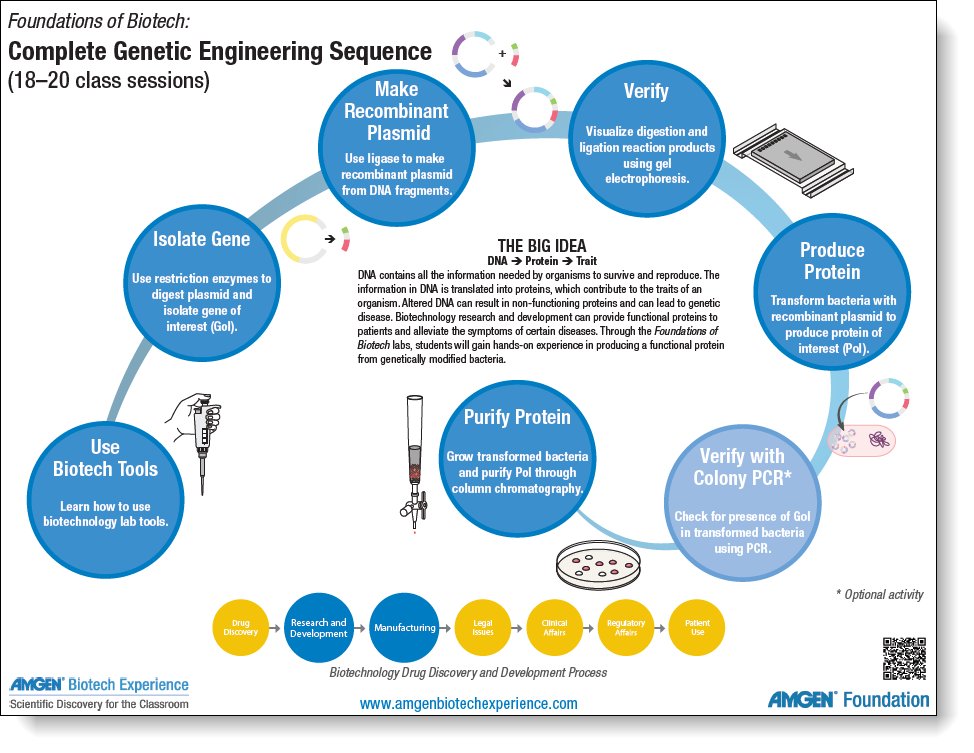If you want copies of our Foundations of Biotech graphics for your classroom, contact the Program Office or your local program site. amgenbiotechexperience.com/sites/default/…