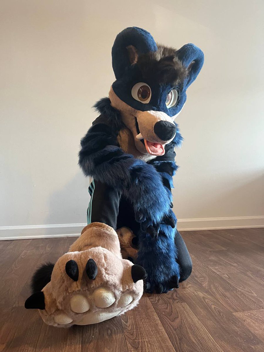 CalamityCoati's tweet photo. I can finally be what I want to be and I have a couple of artists I must thank

To @GATORSPOTS and @BlueSkyWolf09 who brought Calamity to life in the physical and virtual worlds respectively, I am honored and happy with the amount of love you put into Calamity. Thank you both💙💛 https://t.co/ZGgsZ06JZP