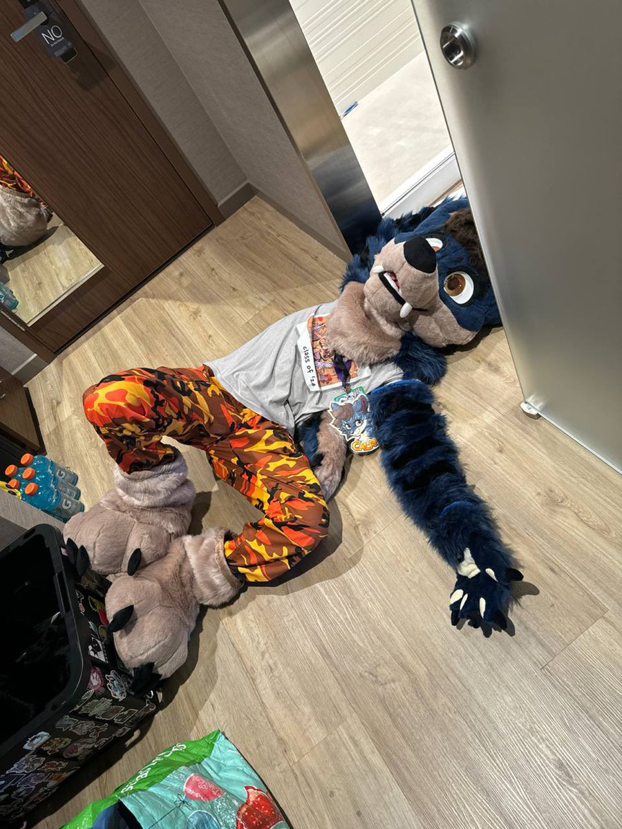 CalamityCoati's tweet photo. I can finally be what I want to be and I have a couple of artists I must thank

To @GATORSPOTS and @BlueSkyWolf09 who brought Calamity to life in the physical and virtual worlds respectively, I am honored and happy with the amount of love you put into Calamity. Thank you both💙💛 https://t.co/ZGgsZ06JZP