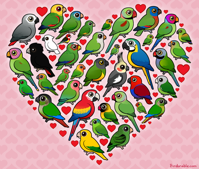 ElSalvadorBirds's tweet photo. Ningún Loro o Perico Silvestre debe ser mascota. No porque sea una tradición tenerlos en casa quiere decir que sea correcto. Si seguimos con esa "tradición" un día solo los veremos en fotos y videos ni tan siquiera en una jaula en casa. Existen alternativas, hay loros y pericos que son criados en cautiverio y pueden ser legalmente comercializados. No hay que ser cómplices de un crimen, la extracción de polluelos de Pericos y Loros Silvestres es ILEGAL así como su posterior comercialización.