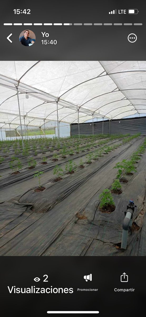 <a href="/CP_News/">Colgate-Palmolive</a> <a href="/PONDS/">POND'S®</a> <a href="/pacari/">Pacari Chocolate</a> <a href="/KelloggsLATAM/">Kellogg's LATAM</a> <a href="/LaUniversal_Ecu/">La Universal</a> <a href="/VitaProducts/">Vita Products</a> <a href="/Purina/">Purina</a> <a href="/Pronacaec/">PRONACA</a> <a href="/SweetandCoffee/">Sweet & Coffee</a> <a href="/Hdoschorreras/">Dos chorreras</a> <a href="/JuanValdezCafe/">Juan Valdez Café</a> <a href="/chocolatenestle/">Chocolates Nestlé</a> <a href="/Nestle_Ecuador/">Nestlé Ecuador</a> <a href="/frigo_helados/">frigo_helados</a> <a href="/heladositaliaok/">Helados Italia</a> Cannarazu certificados y con licencias para vender extracto Spectrum de CBD