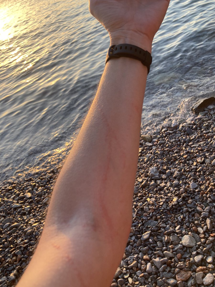 Aliki Varvogli Αλικη Βαρβογλη tweet media