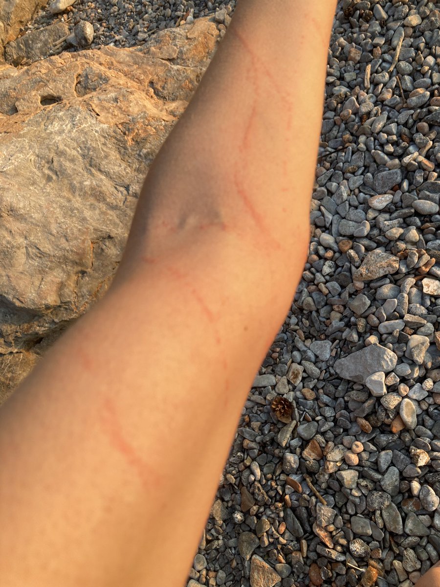 Aliki Varvogli Αλικη Βαρβογλη tweet media