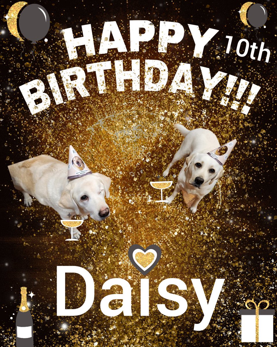 Evie & Fern ๐พ๐พ (@srodarbal) on Twitter photo Wishing a very happy 10th Birthday to our lovely friend Daisy. <a href="/LinandDaisy/">๐ Linda & Daisy ๐</a> Hope you have a wonderful day sweet girl. ๐พ๐๐ฅณ๐๐พ Wishing a very happy 10th Birthday to our lovely friend Daisy. <a href="/LinandDaisy/">๐ Linda & Daisy ๐</a> Hope you have a wonderful day sweet girl. ๐พ๐๐ฅณ๐๐พ