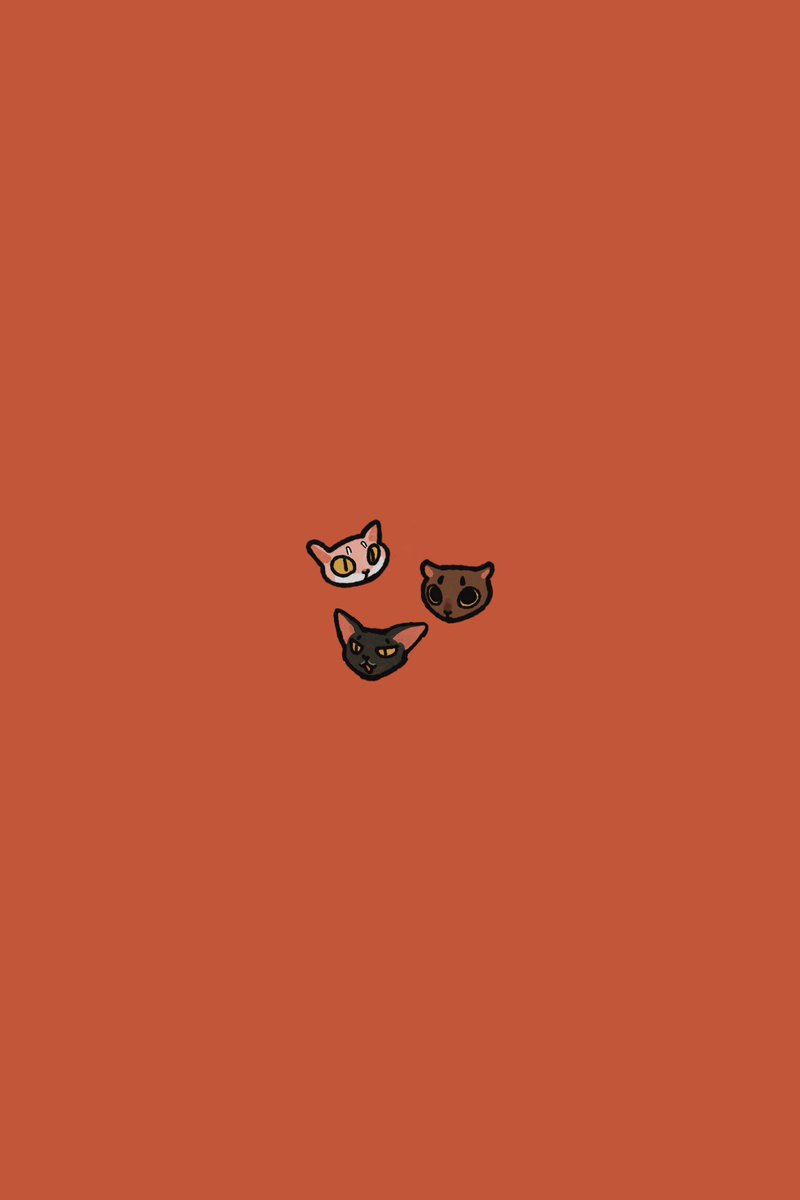 Ufooooooooi's tweet photo. kitties🫰😭 https://t.co/tnOoTc9jro