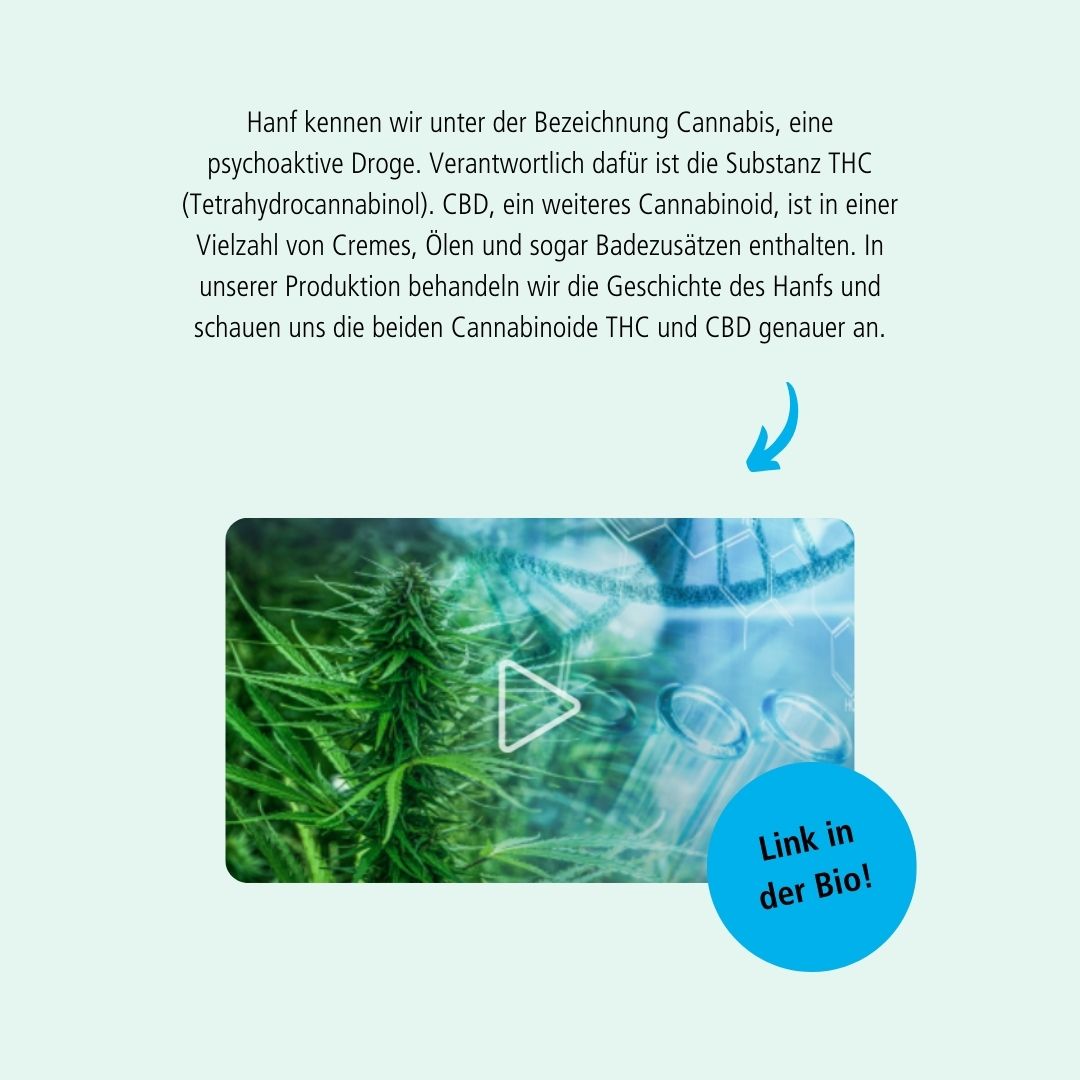 Früher war die #Hanfpflanze Ausgangsmaterial für viele Dinge des alltäglichen Lebens. Heute kennen wir sie eher als #Cannabis, eine #psychoaktive #Droge. Spannende #Lernvideos unter: fwu-mediathek.de/?record=xfwu-5…