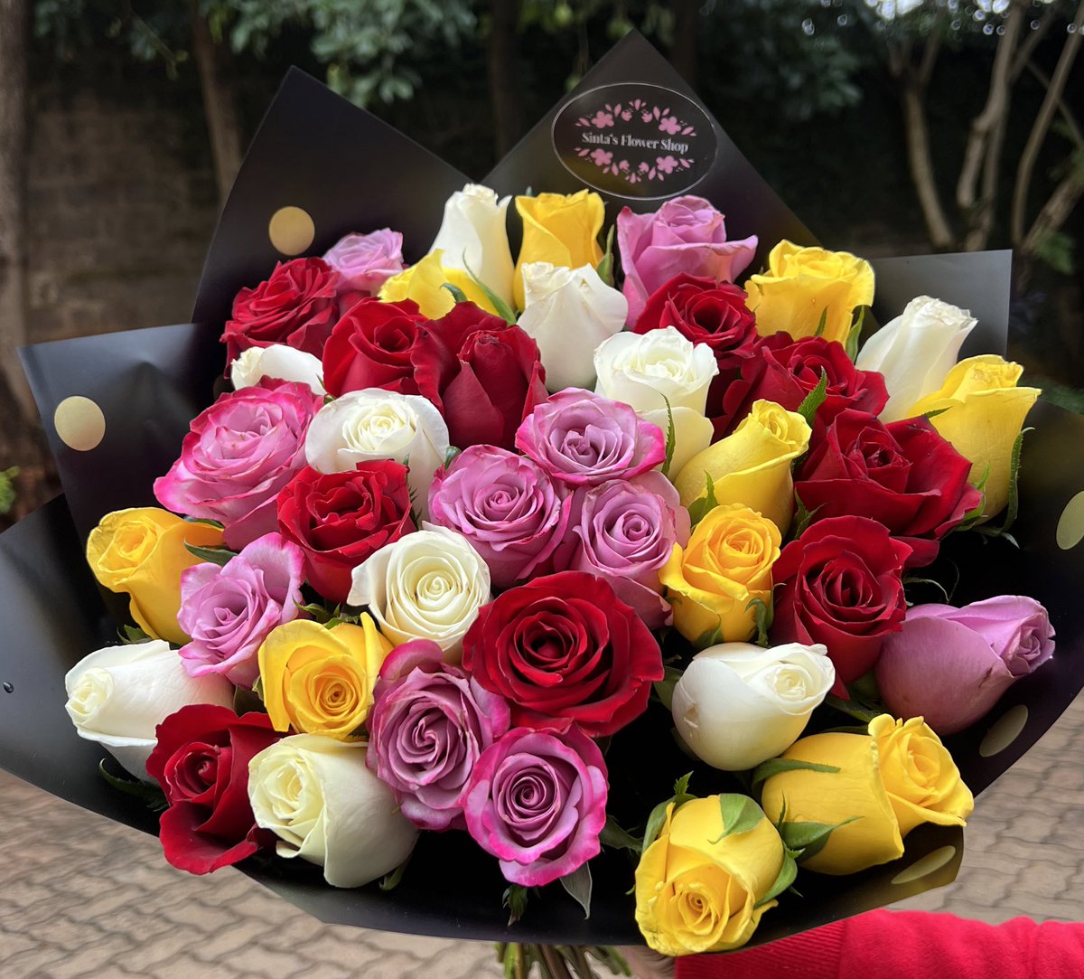 SintaSintamei's tweet photo. πΉβ¨ Brighten their day with the perfect bouquet! Whether it's a birthday, anniversary, or just because!
Our mixed roses bouquet is a stunning way to show you care. π
KES 2500
βοΈ0745490459/ WhatsApp to Order !
#SintasFlowerShop #MixedRoses #Bouquet #GiftIdeas #SpreadLove https://t.co/va8hDpSdoF