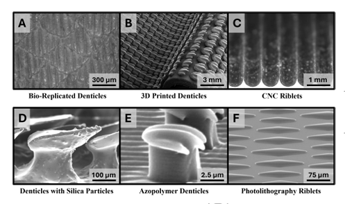 ICB_journal's tweet photo. #SharkWeek continues with
Experimental Studies of #Bioinspired #Shark #Denticles for Drag Reduction
by Marshall T Graybill, Nicole W Xu (https://t.co/fMaycY2z6F) @CUBoulder
https://t.co/YCZDVhAHpL https://t.co/TeKoDxtqG0