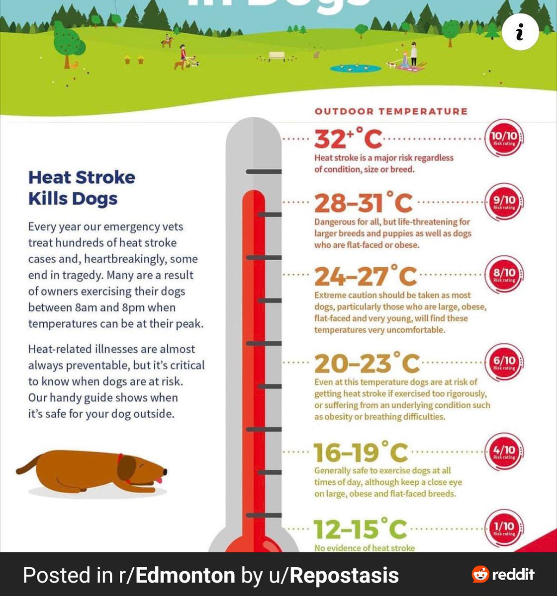 Be safe today outside with Fido--Heat stroke risk is high today for dogs too.  #yeg #Edmonton 🐕☀️ 🐾