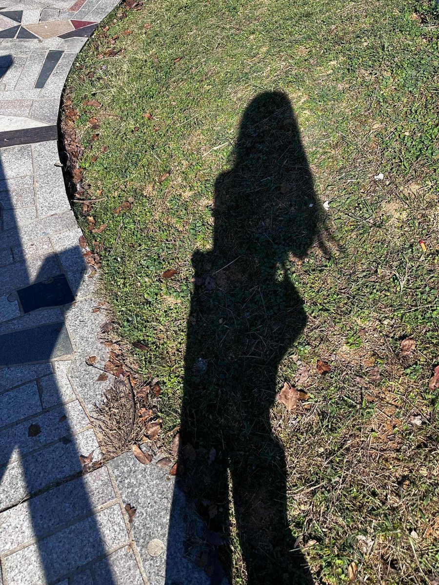 Good morning, out in the sun