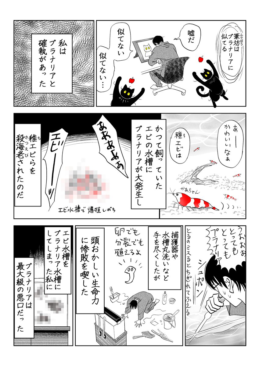 筆坊日記38

(1/2)

#漫画が読めるハッシュタグ #黒猫 #猫がいる暮らし 
