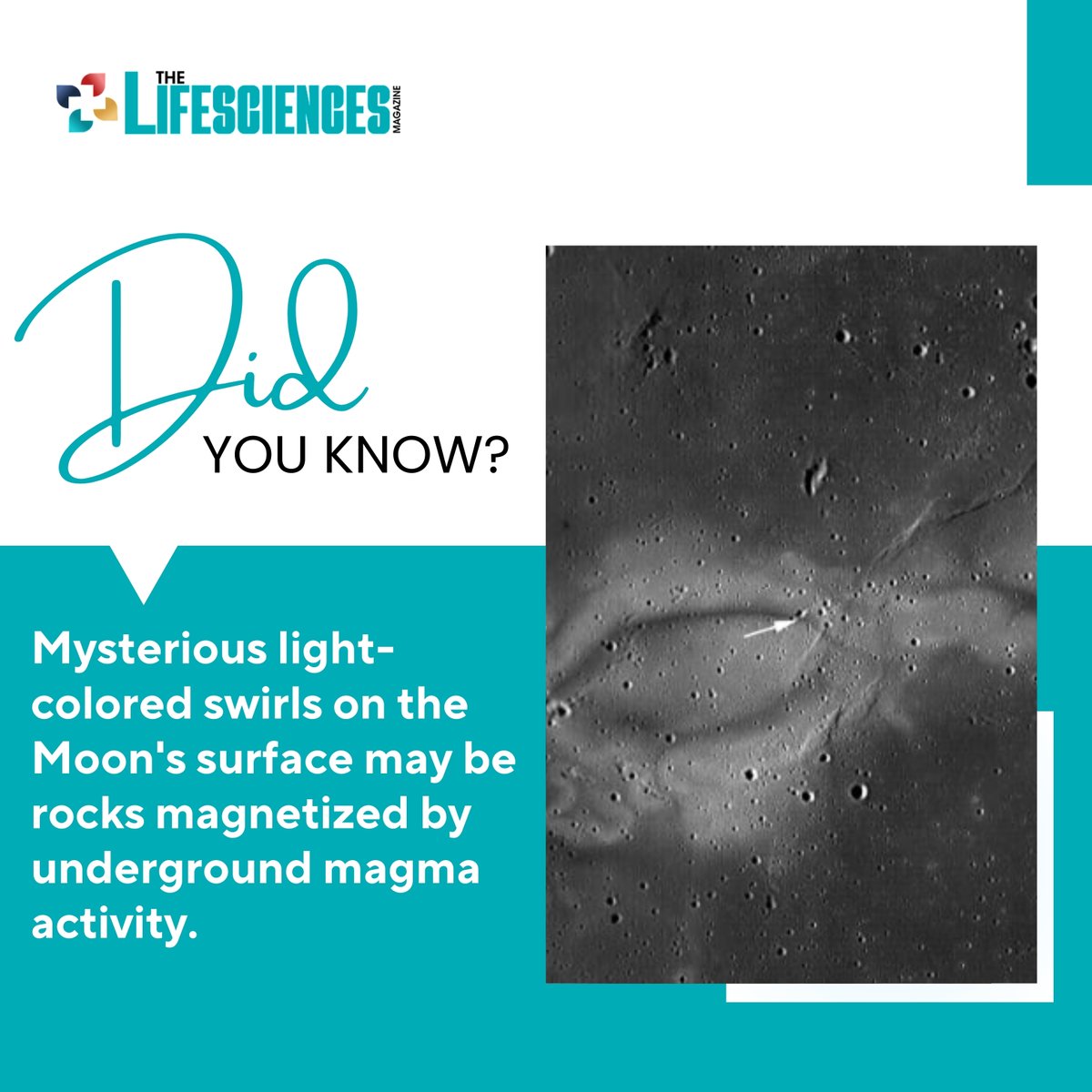 lifesciencesmag's tweet image. Laboratory experiments have confirmed this fascinating phenomenon, shedding light on the Moon&apos;s hidden magnetic mysteries. 

What do you think could be causing these mesmerizing patterns? Share your thoughts below!

#MoonMysteries #LunarMagnetism #LabExperiments #HiddenSecrets