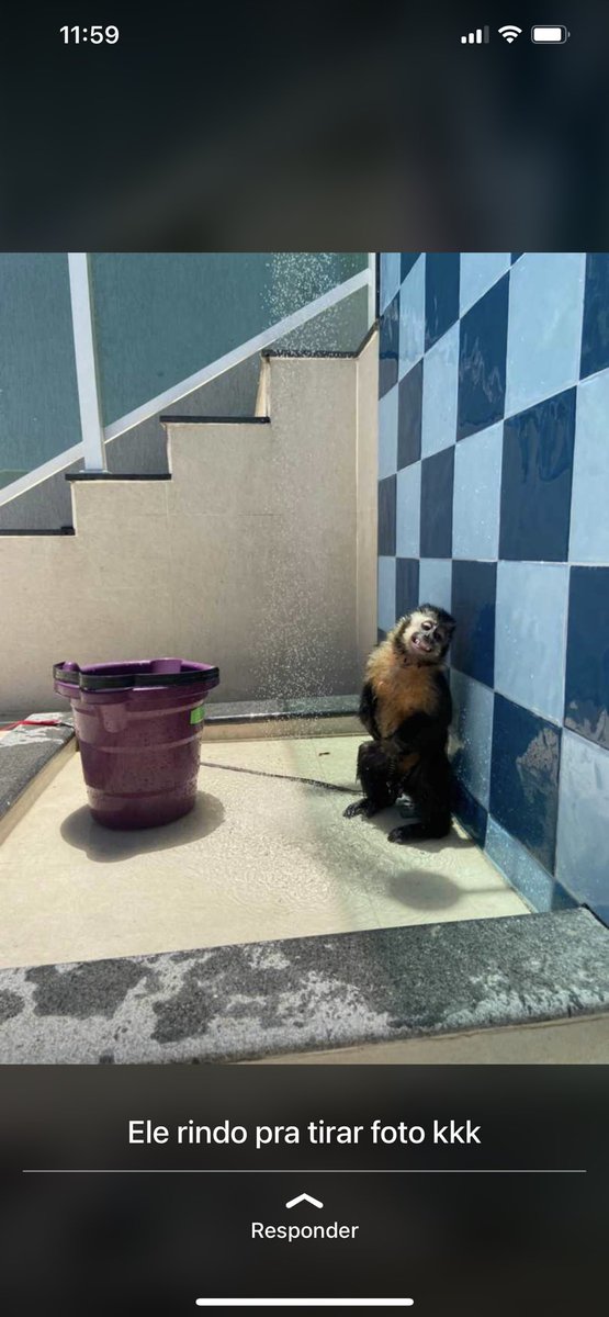 Tá com calor meu filho kkkk 🐒 <a href="/Morrodofeijao/">BAILE DA TURQUIA 🚩🇹🇷</a> <a href="/BaileDoAbc/">CPX ABACATÃO/FAZENDA 🇩🇿</a> <a href="/Paz_CpxFJ/">Nossa favela nosso lar.. Cpx FJ🇹🇷🕊️</a> <a href="/PEPPAFJABC/">2P FJABC🙋🏻‍♂️🥋🇹🇷🇩🇿</a>