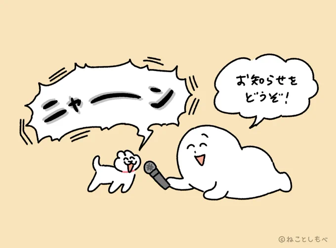 本日夕方にお知らせあります😸✨ 