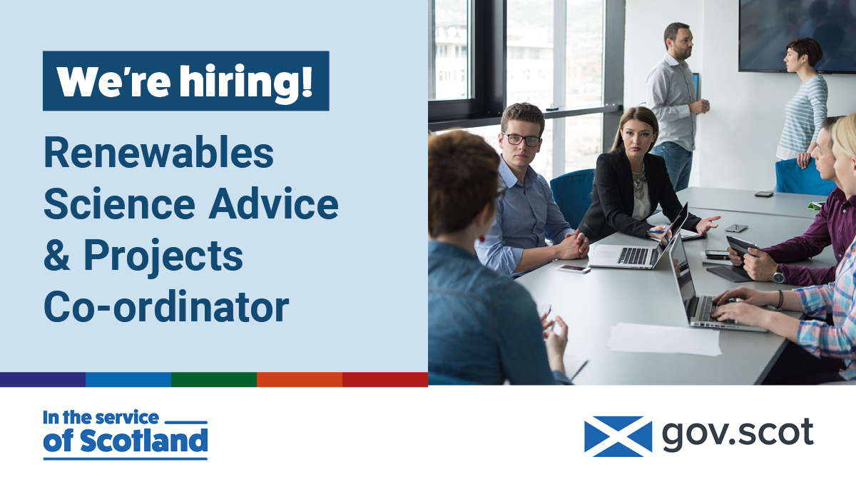 scotgovjobs's tweet photo. Could you support and co-ordinate the development and delivery of research projects? Are you passionate about achieving Net Zero targets?
We’re seeking a Renewables Science Advice & Projects Co-ordinator.
Learn more: https://t.co/D06N3I8nP2
#ProjectManagement #NetZeroJobs https://t.co/yVNHcqpEL4