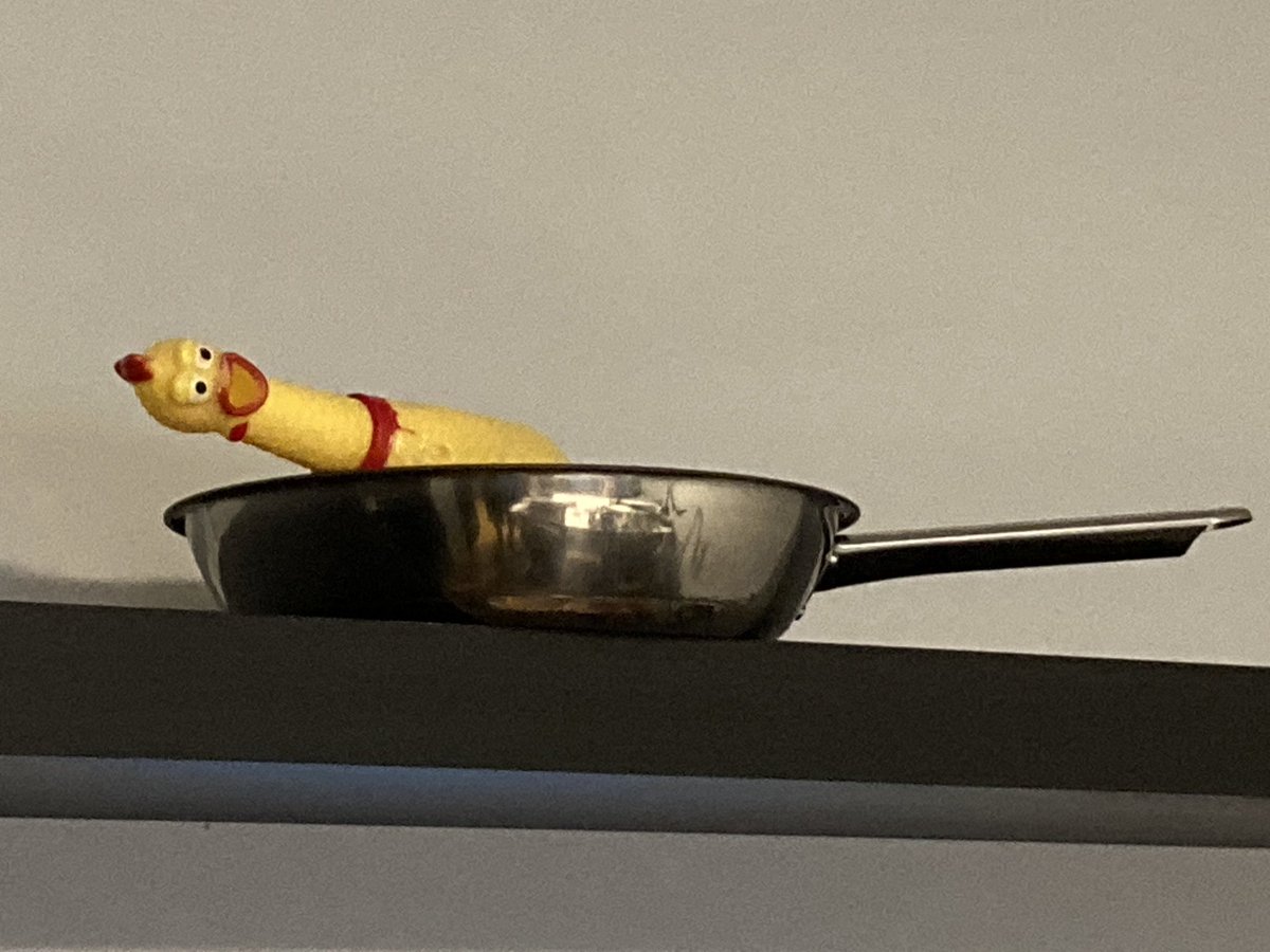 We're cooking up ideas for the next episode of the podcast.