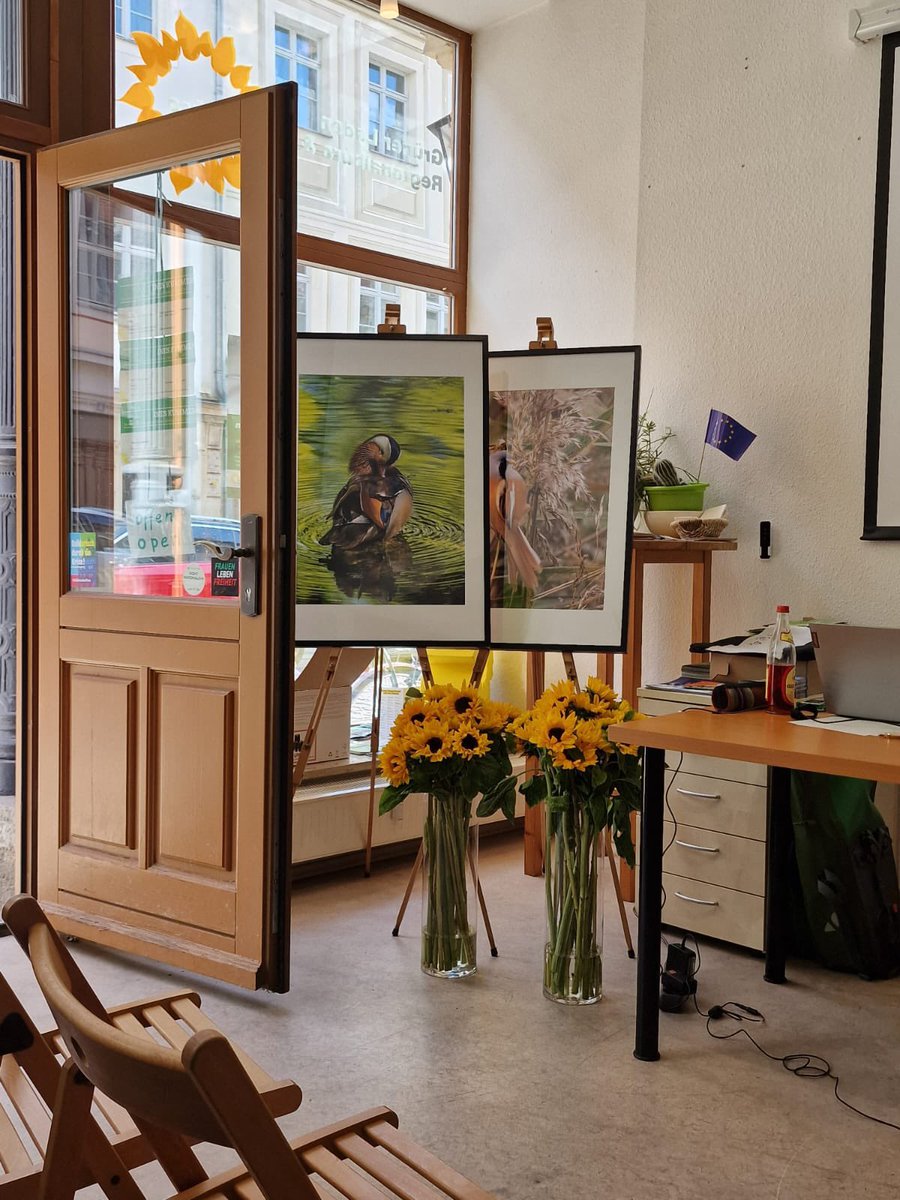 In Grünen Laden Pirna könnt ihr euch noch bis Mitte August die Ausstellung „Bedrohte Arten“ ansehen 👀

Mehr dazu: ineskummer.de/ausstellungser…