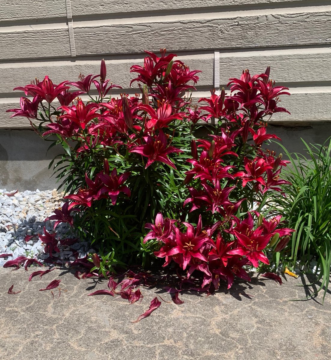 🇨🇦David🇮🇪🏴 tweet media