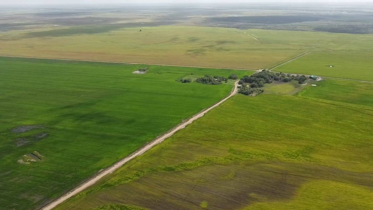Harvest season has kicked off in the LandX-financed rice fields of Casanare, Colombia!

These vibrant green fields are a testament to the dedication and hard work of actual LandX farmers and those efforts are yielding rewards as we begin the rice harvest.

🧵