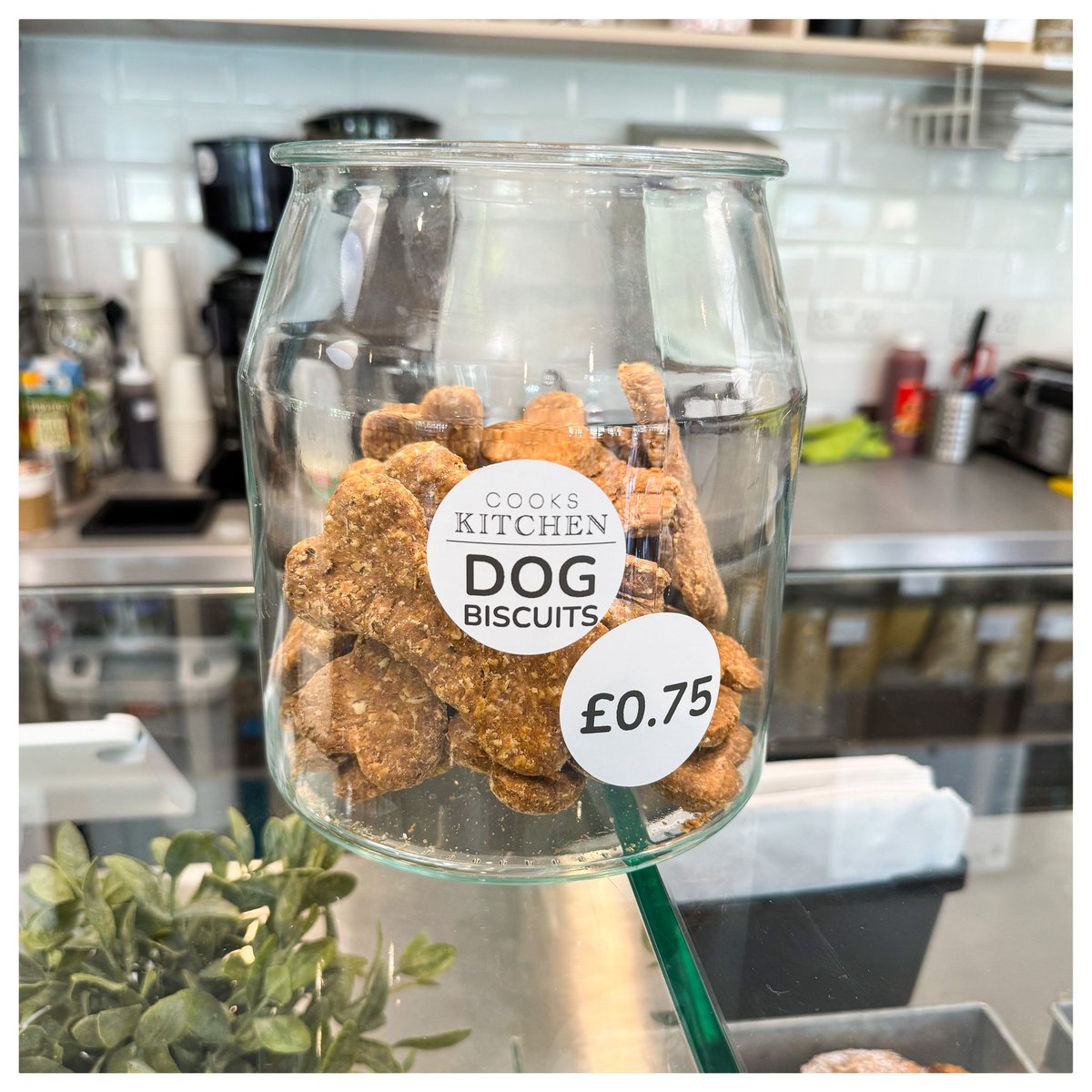 Cookskitchen23's tweet photo. Our canine customers are just as important to us so we provide several rehydration spots around the Café and also sell home-baked, delicious, doggy treats too . . . .

#bakedgoods #cakes #coffee #cooksandpartners #cookskitchenwimbledonpark #communitycafe #freshlybaked #icecream https://t.co/t7REQ0IhOW