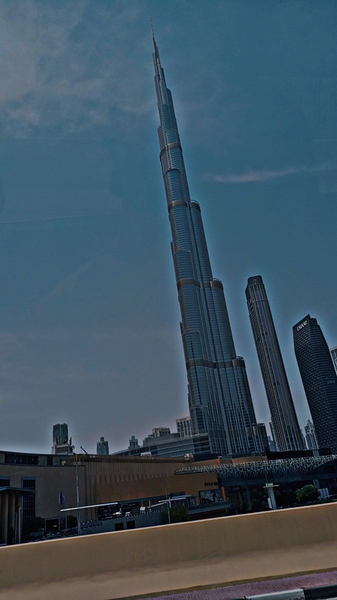 bull dxb🇦🇪 tweet media