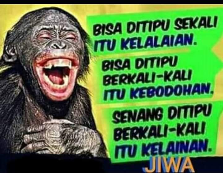 MH (Batak Muslim) tweet media