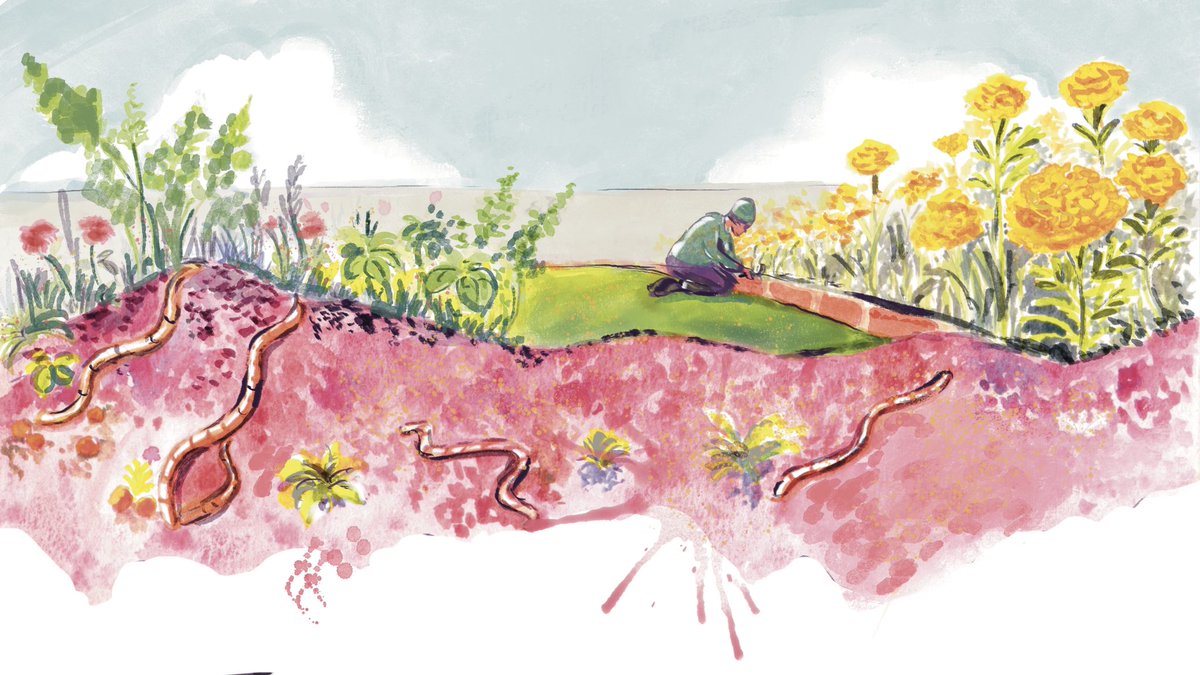 i_v_i_d's tweet image. Hi! I am Vidya Gopal. I am an illustrator based out of Bangalore. I would love to work on interesting editorial illustration, comic and picture book opportunities. 
I love telling visual stories, drawing people and food. #portfolioday 
@yadayadacollect