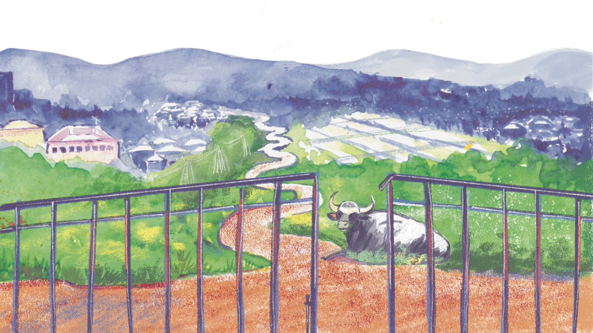 i_v_i_d's tweet image. Hi! I am Vidya Gopal. I am an illustrator based out of Bangalore. I would love to work on interesting editorial illustration, comic and picture book opportunities. 
I love telling visual stories, drawing people and food. #portfolioday 
@yadayadacollect