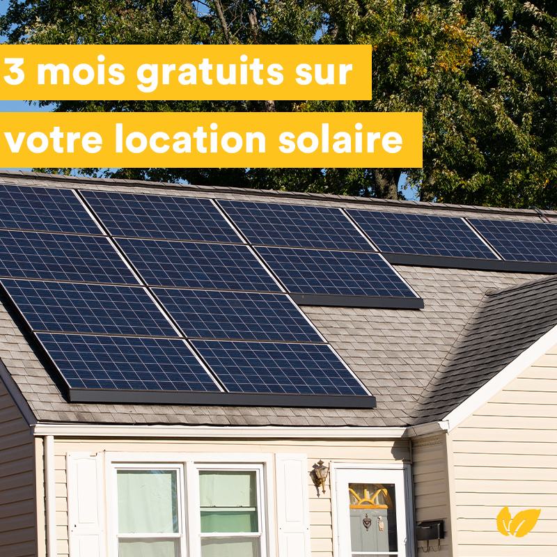 Mint 🌱 tweet media