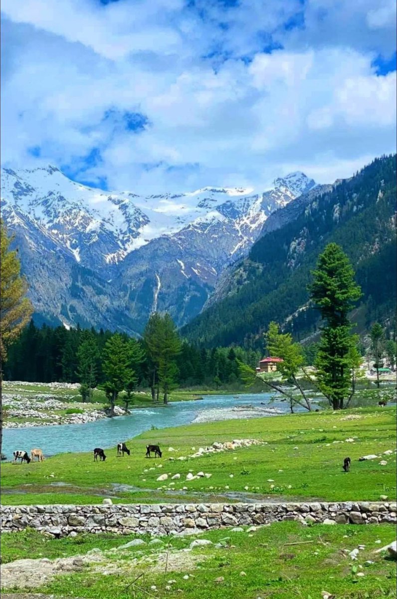 Nuristantribune's tweet image. Nuristan, Afghanistan 
@Nuristantribune