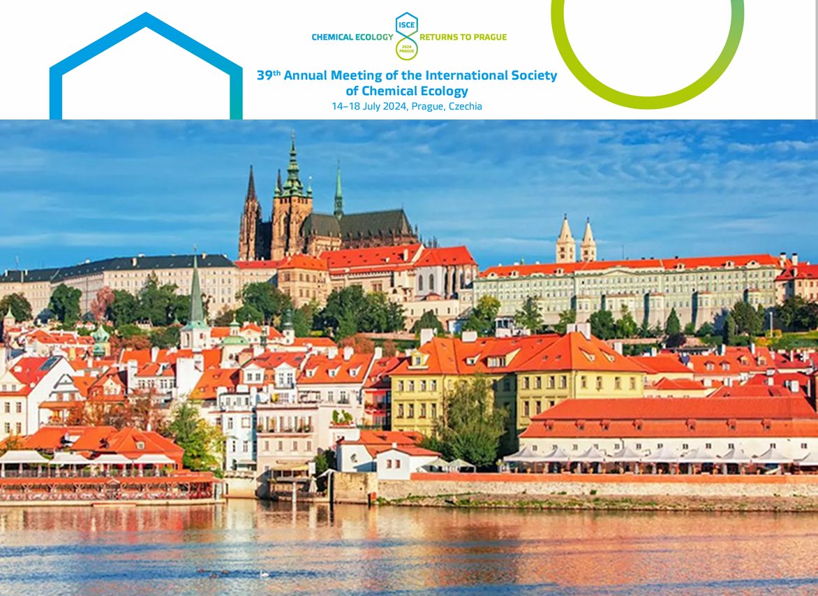 🌟 Are you as excited as we are to kick off the ISCE 2024 Conference in Prague? An incredible lineup of plenary speakers, symposia, and networking events. Can't wait to see you there! 🎉 #ISCE2024 #ChemicalEcology #Prague #ScientificConference" #chemecol