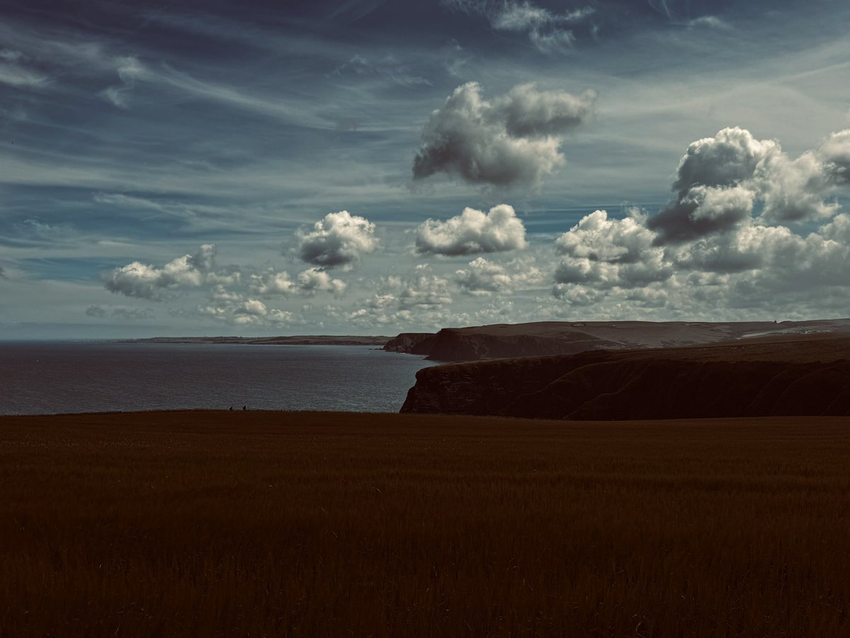 nigelgutgenug's tweet photo. Trip to @RSPBScotland Troup Head to see the wonderful Gannets
1) Looking toward Troup Head blanket cloud cover.
2 Heading back to car
3 All gone! 🌫️
4 My thoughts 😄

@VisitScotland @Natures_Voice #RSPBTroupHead #birding #viewslikethese #outsideisfree #scotland @74frankfurt https://t.co/EiNEzeAzCW