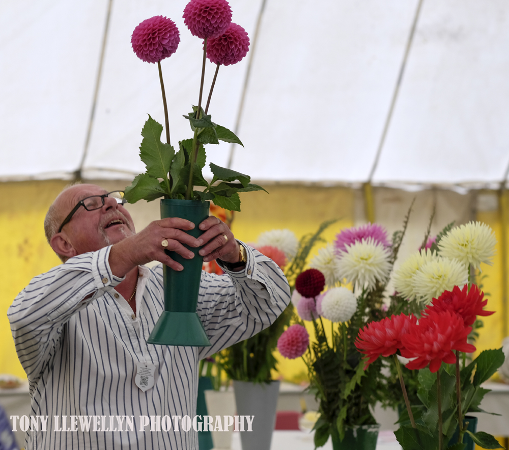 Horticulture Classes include Vegetables, Dahlias, Flowers and Floral Arrangements. Stand entries to be submitted by Monday 29th July and other entries by Tuesday, 30th July.  Full details and an entry form are available on our website bit.ly/3EsXOtB