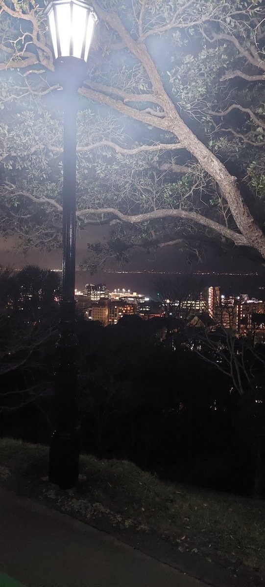 Dr Mairéad de Róiste @spatialThinkLab@mastodon.nz tweet media