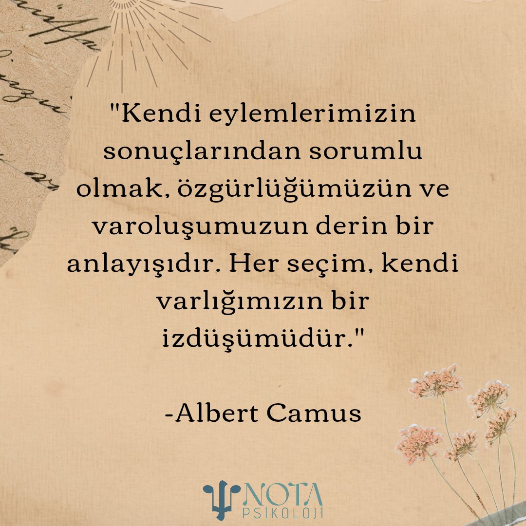 NOTA Eğitim Danışmanlığı & Koçluk tweet media