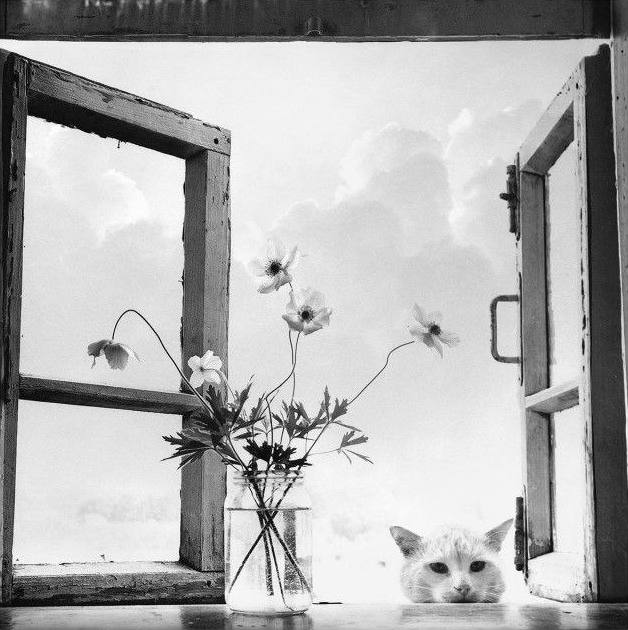 Доброе утро! 
1976