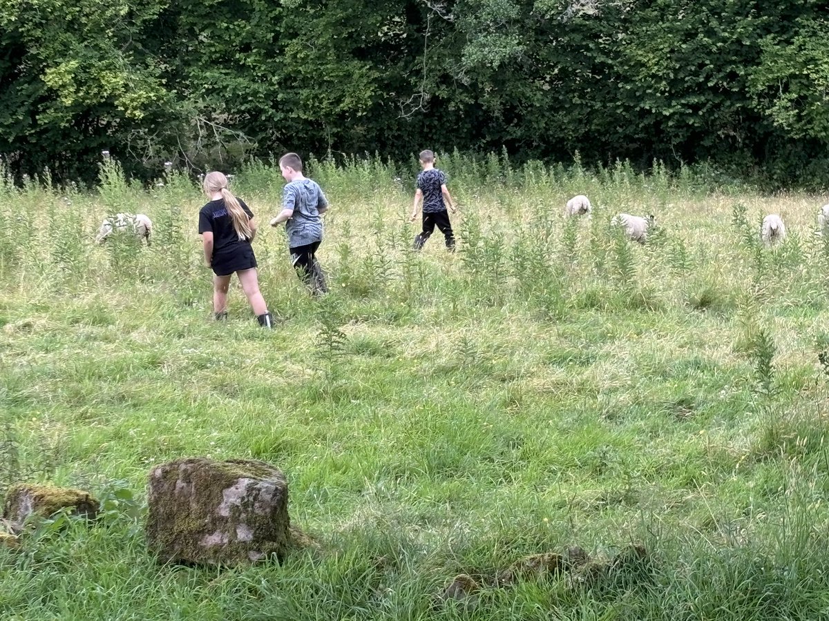 Overmonnow Primary School tweet media