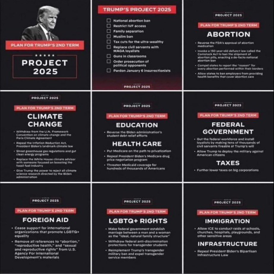 JodiePP1948's tweet photo. Trump is a bully & a rapist, you are complaining about Joe Biden mixing up words, times, date & saying he needs to step aside. Grow up, we’ve all done it, stop fighting each other & support Biden, this is your last chance to get it right otherwise Project 25 will be your reality. https://t.co/UfocIgGY2M