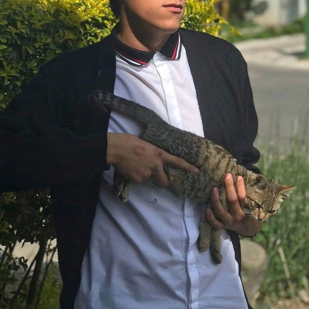 WeAssessCats's tweet photo. https://t.co/XzWM0Zhpva
