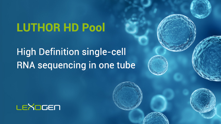 lexogen's tweet photo. 📢Exciting news for #scRNAseq fans! 🔬
Lexogen launches the LUTHOR HD-Pool Kit, offering HD quality, sample pooling, bulk config, and dynamic pricing for high-throughput single-cell applications. Discover more! https://t.co/vTZSlO1R41
#RNA #singlecell #ngs #highsensitivity https://t.co/LoB4uCWLua