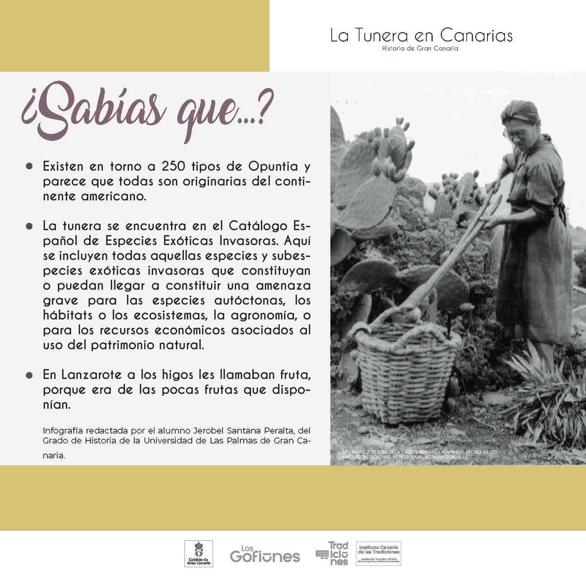 Hoy la cosa va de púas o picos, ya que nos acercaremos a conocer un poco mejor a las tuneras o chumberas.
#ictradiciones #tuneras #chumberas #higospicos #tunos #higoschumbos #floraintroducida #america #nopal #islascanarias <a href="/LosGofiones/">Los Gofiones</a>  <a href="/GranCanariaCab/">Cabildo Gran Canaria</a>