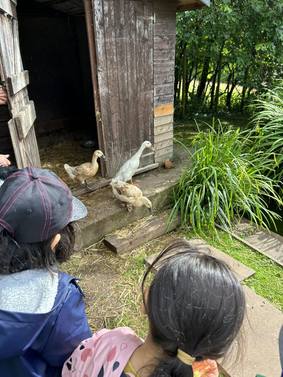 Miss Vickerstaff tweet media