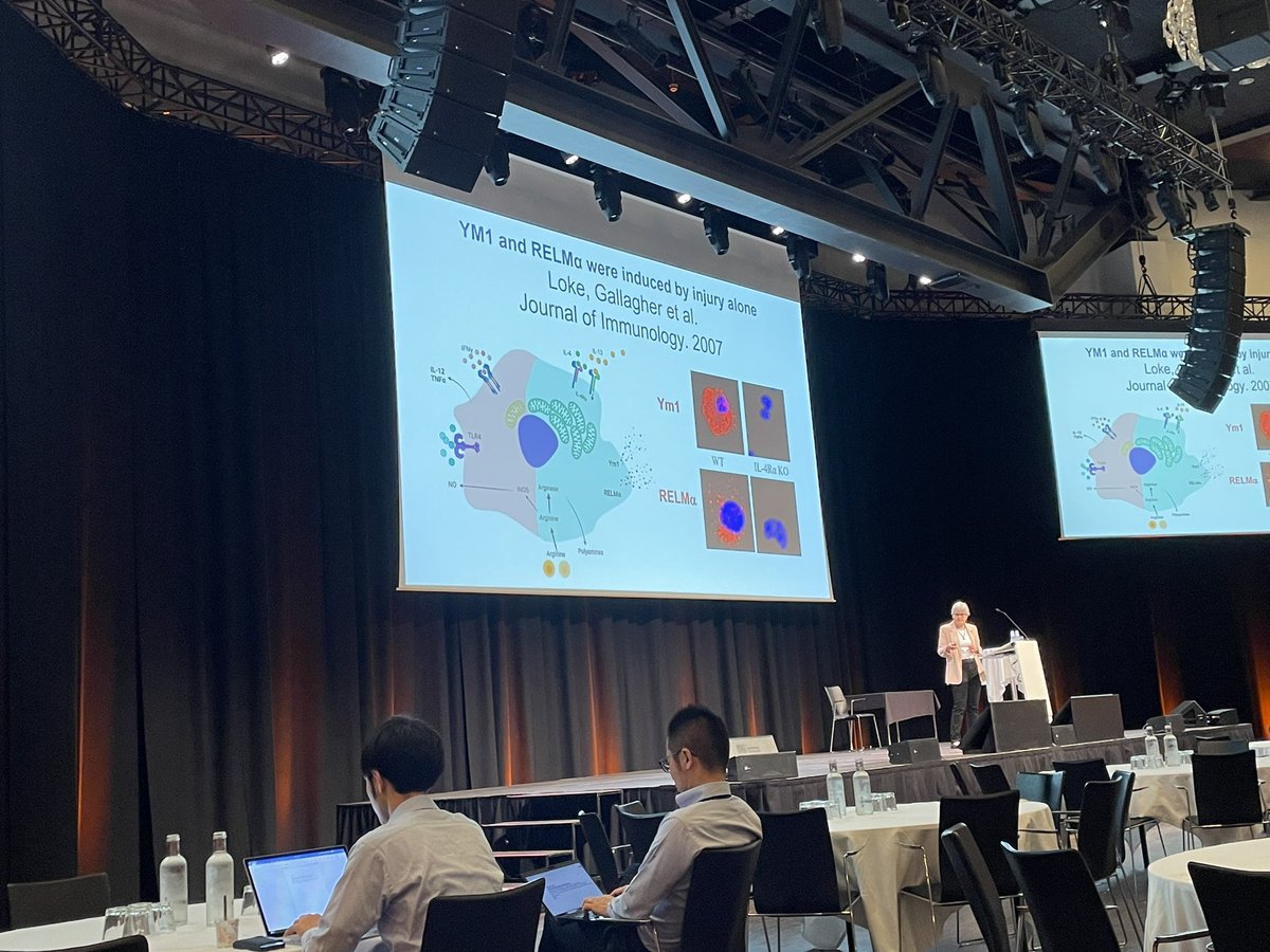 kjbmercurio's tweet photo. Penultimate day #ICMI2024 🫨 awesome talks on hyaluronic acid / Type 2 immunity @ProfJudiAllen, goblet cells under C. rodentium model @Mahadevanvenkit, G-protein coupled receptors in alveolar macrophages @WillingerLab &amp; fibre-deficiency impacting GLP-1 release @PhDBrockmannL 👏 https://t.co/bmJIrwxDQr