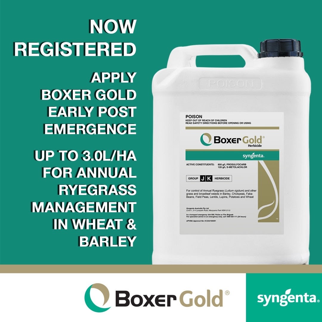 Did you know you can apply upto 3l/ha of Boxer Gold EPE for ryegrass control in Wheat and Barley?

Go to syngenta.com.au/boxer-gold for more information.