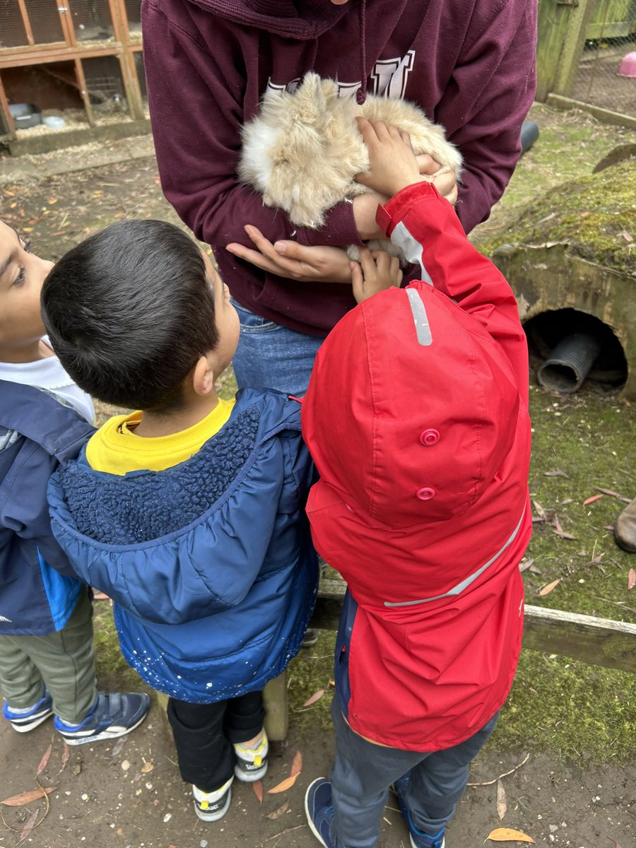 Miss Vickerstaff tweet media