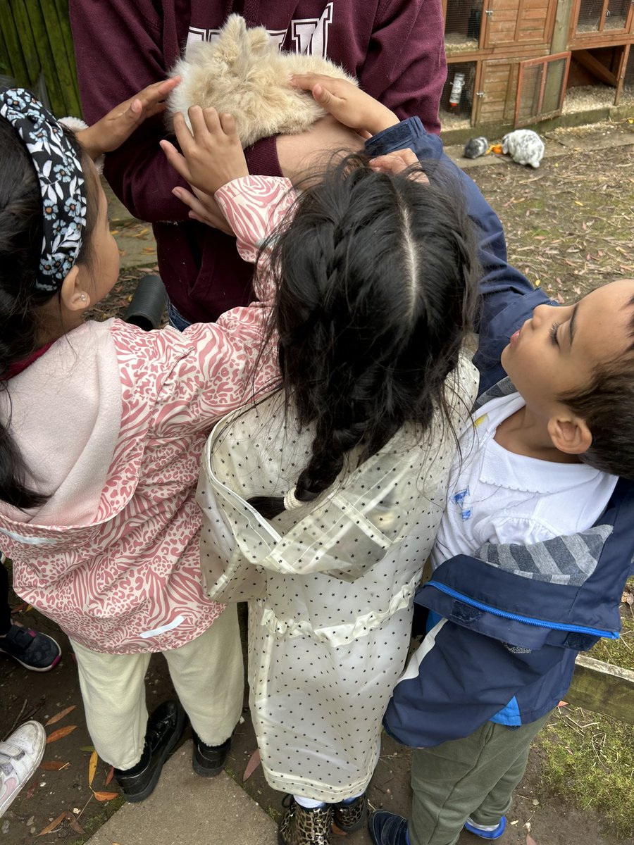 Miss Vickerstaff tweet media