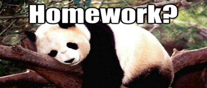 Beardo_homework's tweet photo. พี่หมีมารับทำการบ้าน🧸💖

⭐️Speexx , Cambridge one
⭐️มายแมพ Mind map
⭐️Canva 
⭐️Powerpoint 
⭐️อินโฟกราฟฟิก
⭐️แบบฝึกหัด 
⭐️แต่งประโยค

#รับทำการบ้าน #รับจ้างทำการบ้าน 
#รับทำการบ้านมหาลัย #BU66 #BU67 
#มอรังสิต #มธ #ทีมมธ
#dek66 #dek67 #dek68 
#Beardohomework https://t.co/hnEGRidG8g